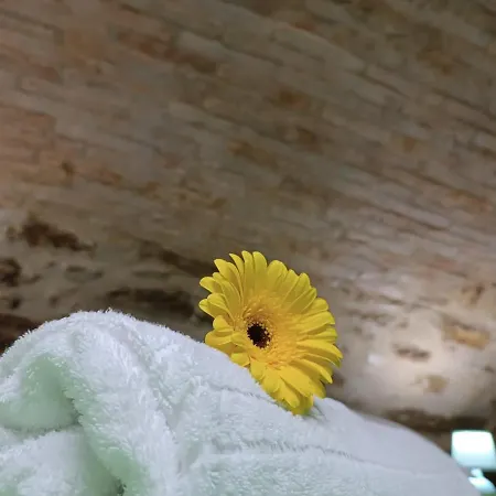 Apartamento Matalena